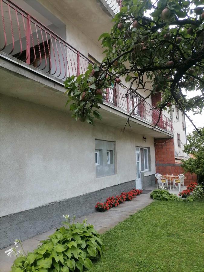 索科矿泉村Pavicevic公寓 外观 照片